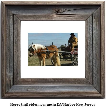 horse trail rides near me in Egg Harbor, New Jersey